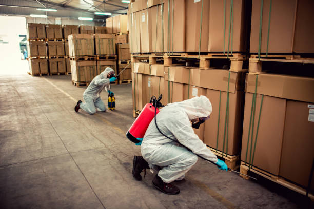 Best Ant Control Services  in Waterbury, CT