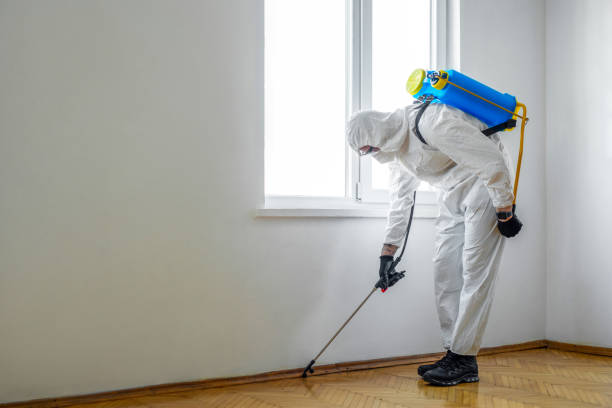 Best Spider Control Near Me  in Waterbury, CT